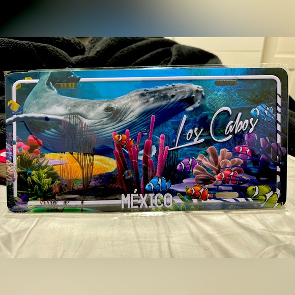 Mexico aesthetic drivers license (Los Cabos) - Picture 1 of 2